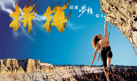 IT行业资深seo分析师