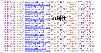 网络公司优化案例
