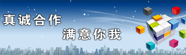 企业网站想做优化,SEO怎么收费,企业网站做排名