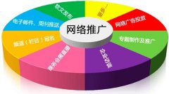网站SEO优化只是网络推广的一种途径