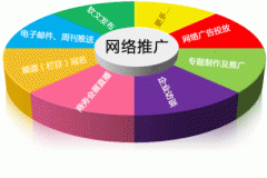 把握内容网络推广服务的开展