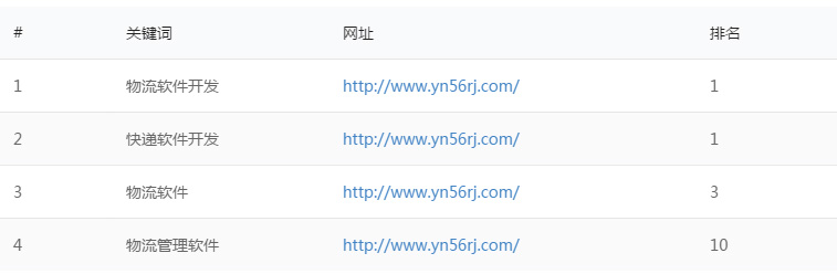 网站SEO优化案例