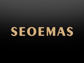 seo优化快速排名
